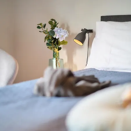 Cecha &wellness فندق مبيت وإفطار